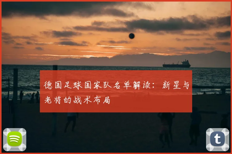 德国足球国家队名单解读：新星与老将的战术布局