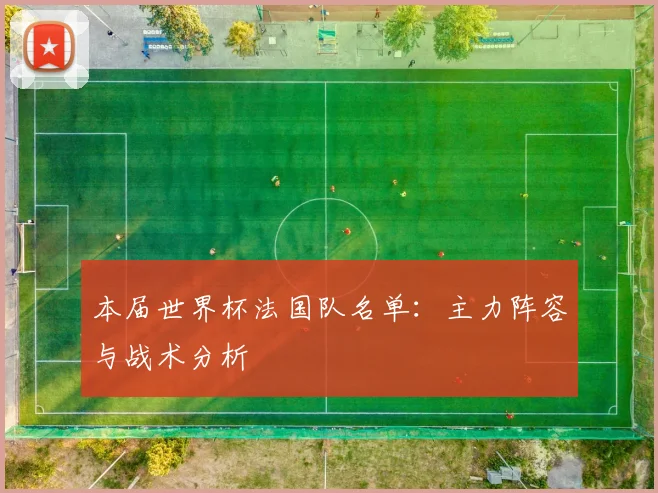 本届世界杯法国队名单：主力阵容与战术分析