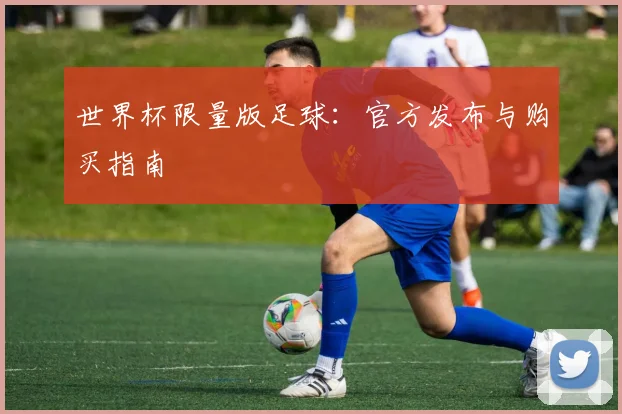 世界杯限量版足球：官方发布与购买指南