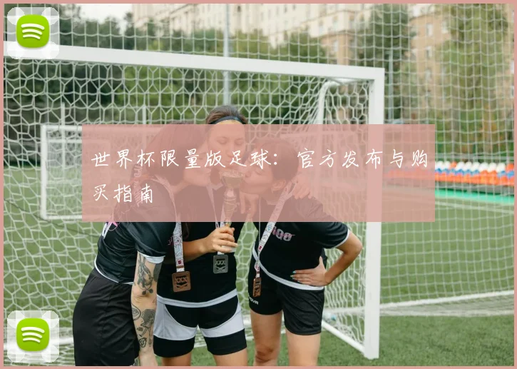 世界杯限量版足球：官方发布与购买指南