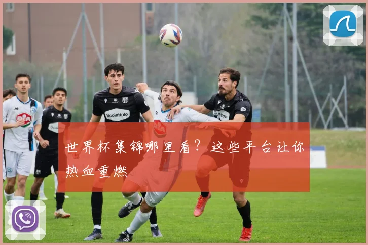 世界杯集锦哪里看？这些平台让你热血重燃